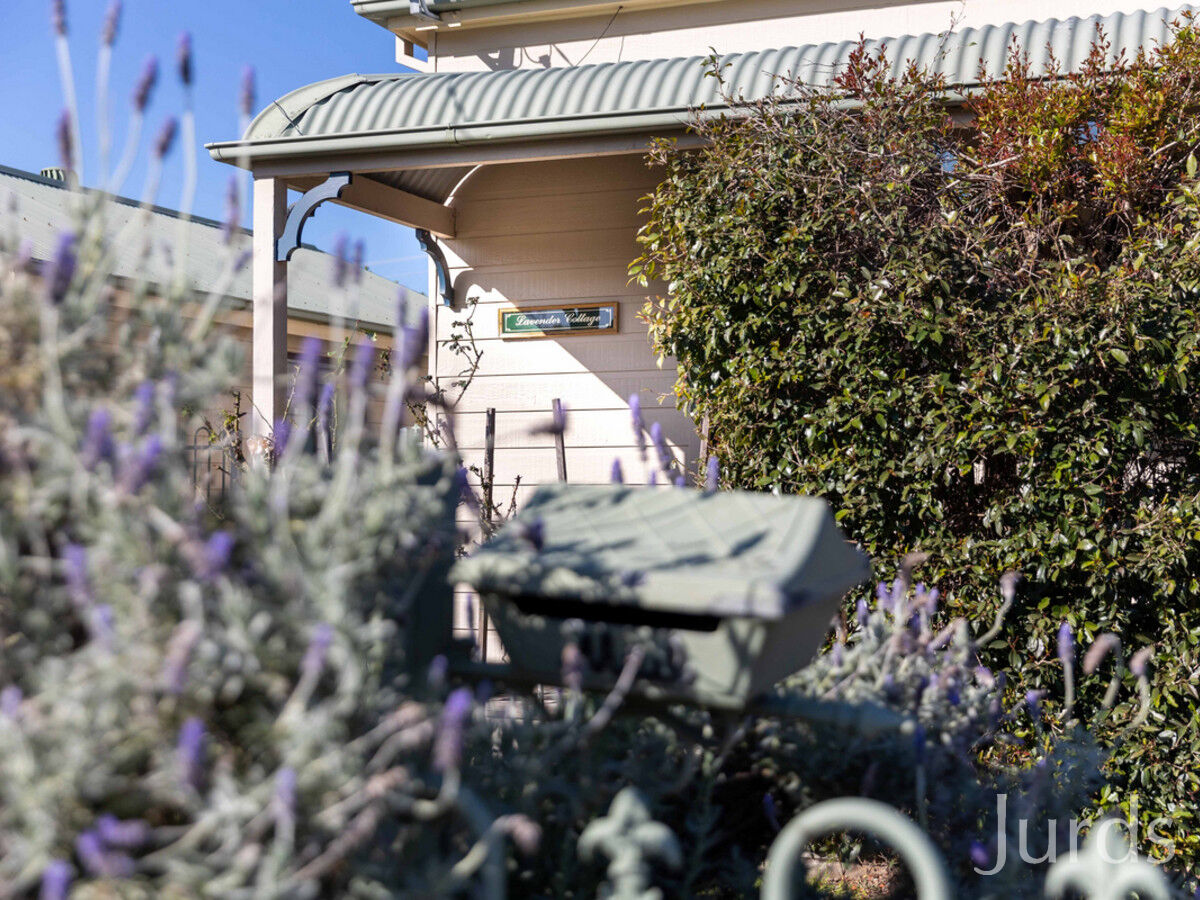 42 Mayfield Street, Cessnock, Cessnock - Thumbnail 4