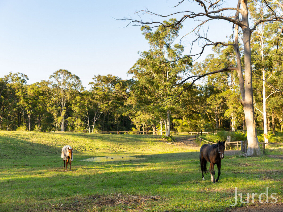 207 O'Donnelltown Road, West Wallsend, West Wallsend - Thumbnail 6