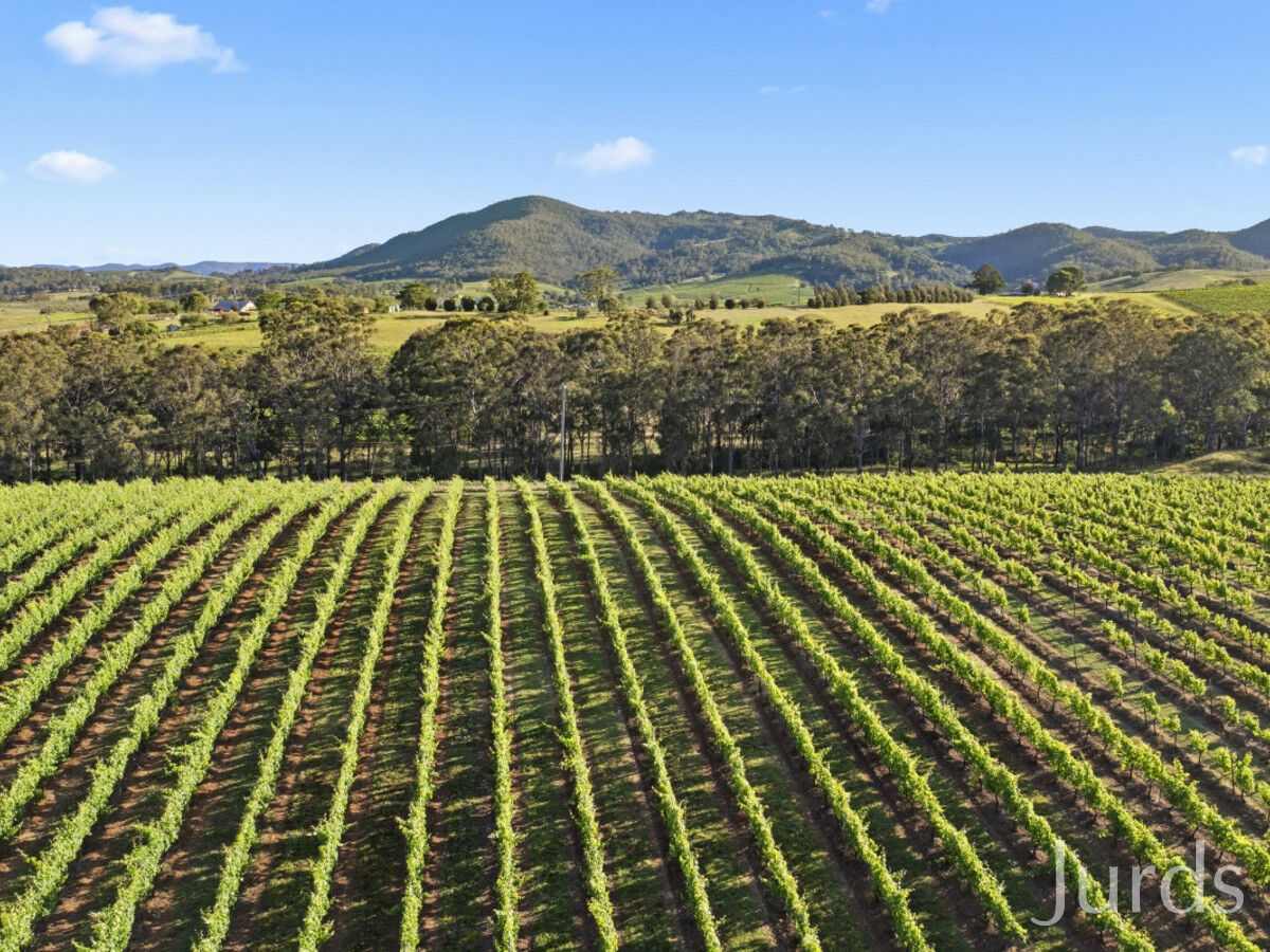 658 De Beyers Road, Pokolbin, Pokolbin - Thumbnail 6