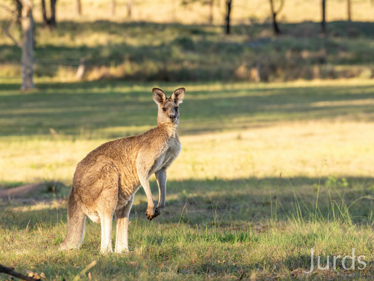 109 Wisemans Way (Lot 48), Sedgefield, Sedgefield - Thumbnail 7