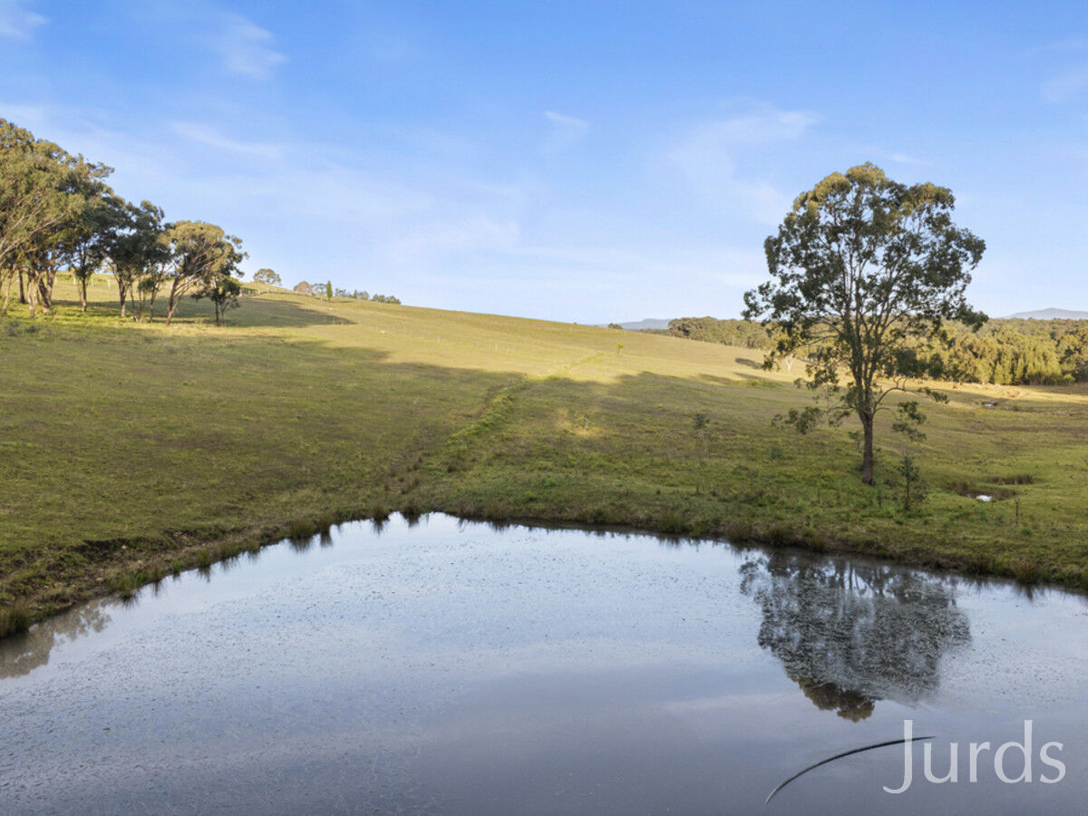 577 Old North Road, Allandale, Allandale - Thumbnail 5