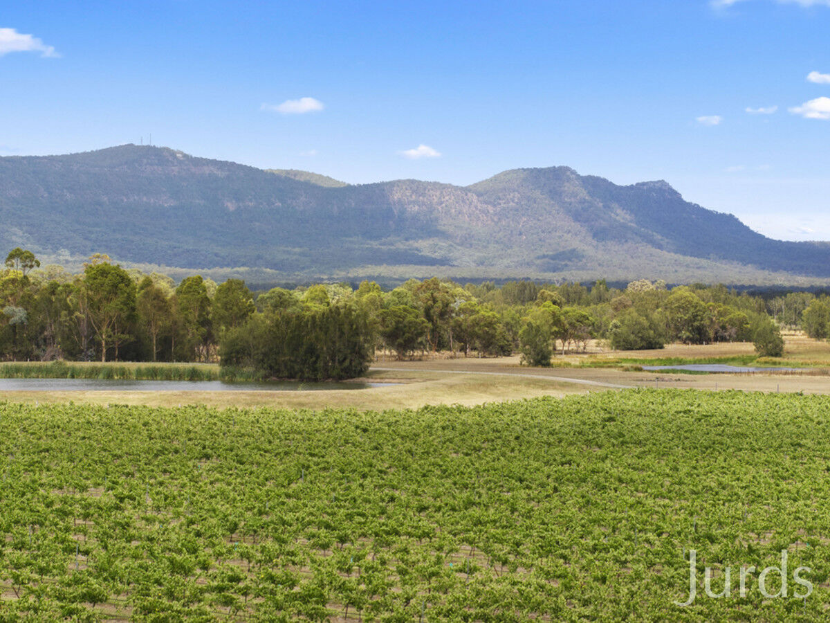 223 Deasys Road, Pokolbin, Pokolbin - Thumbnail 2