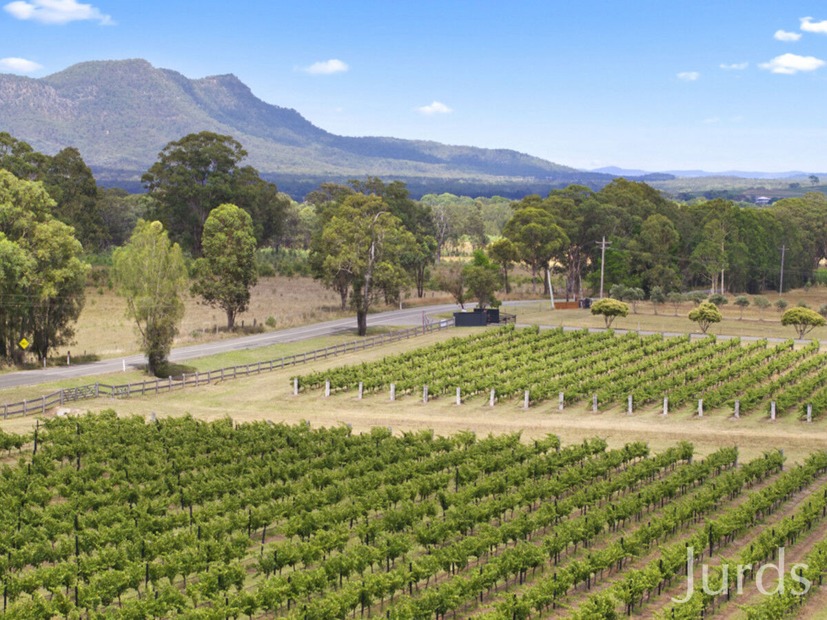 223 Deasys Road, Pokolbin, Pokolbin - Thumbnail 5