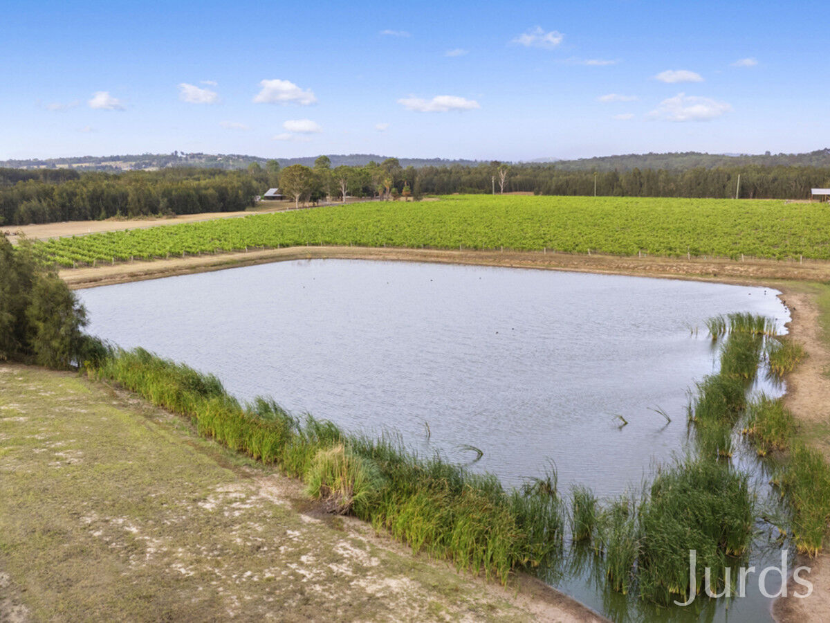 223 Deasys Road, Pokolbin, Pokolbin - Thumbnail 6