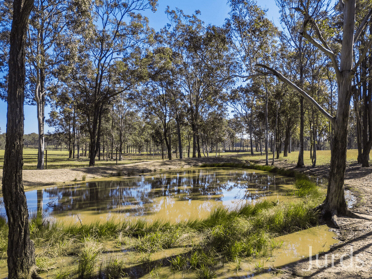 Lot 123 / 694 Hermitage Road, Pokolbin, Pokolbin - Thumbnail 7