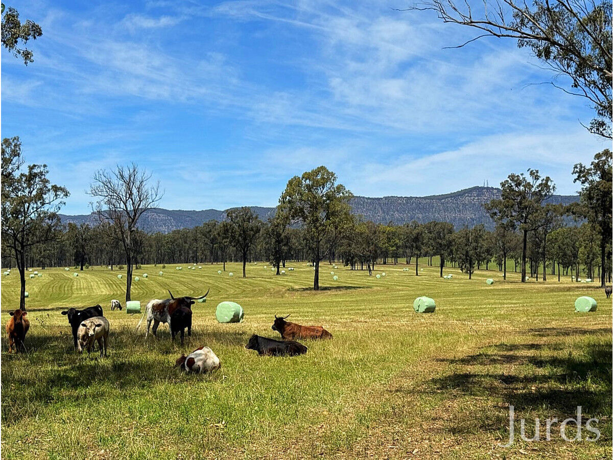 Lot 123 / 694 Hermitage Road, Pokolbin, Pokolbin - Thumbnail 3
