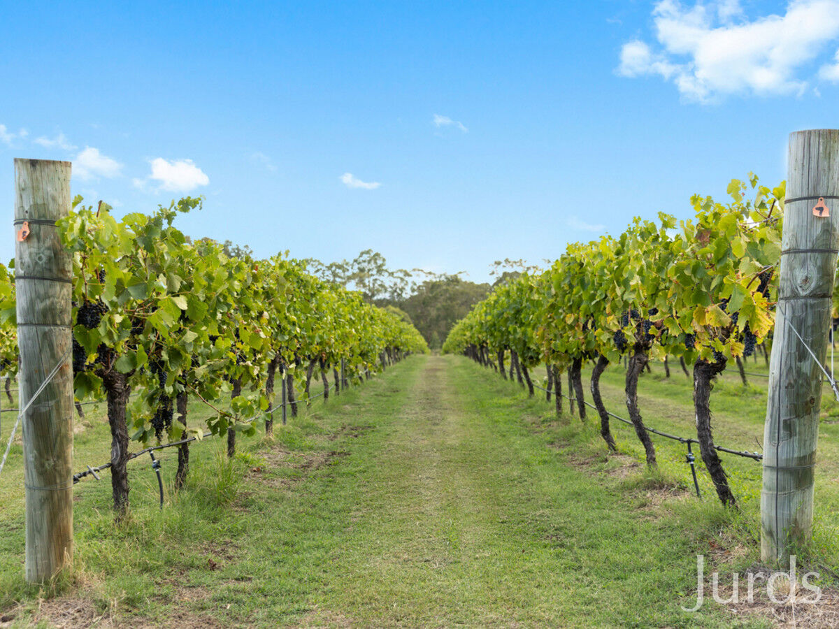 28 Racecourse Lane, Pokolbin, Pokolbin - Image 1