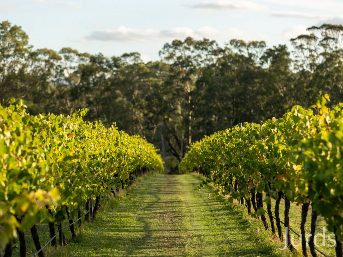 28 Racecourse Lane, Pokolbin, Pokolbin - Thumbnail 8