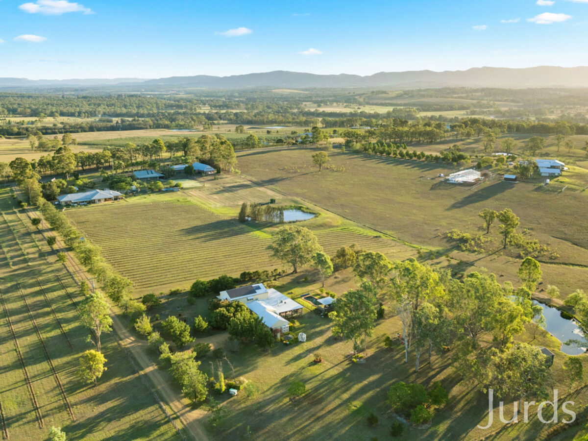192 Wilderness Road, Lovedale, Lovedale - Thumbnail 3