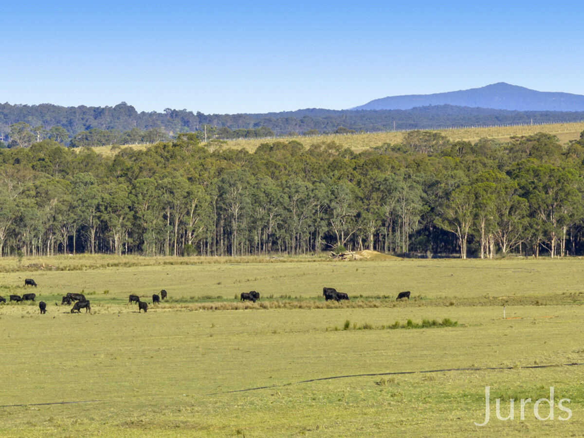 Lot 2 off Gillards Road, Pokolbin, Pokolbin - Thumbnail 8