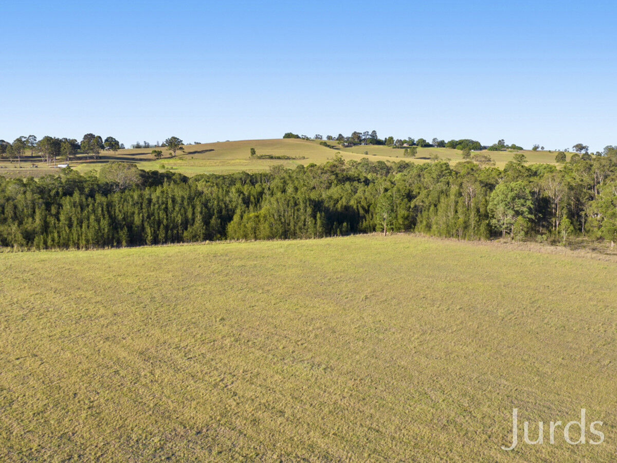 Lot 2 off Gillards Road, Pokolbin, Pokolbin - Thumbnail 4