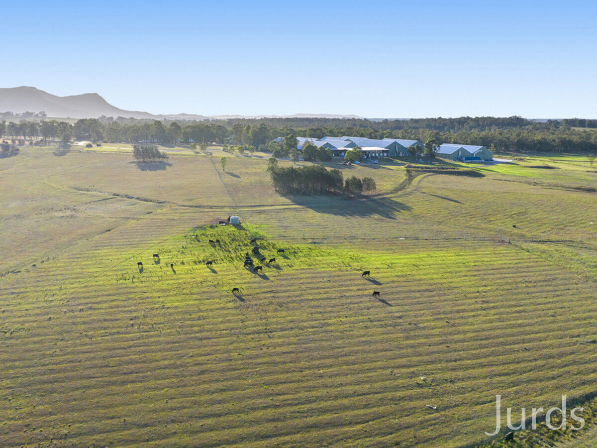 Lot 2 off Gillards Road, Pokolbin, Pokolbin - Thumbnail 2