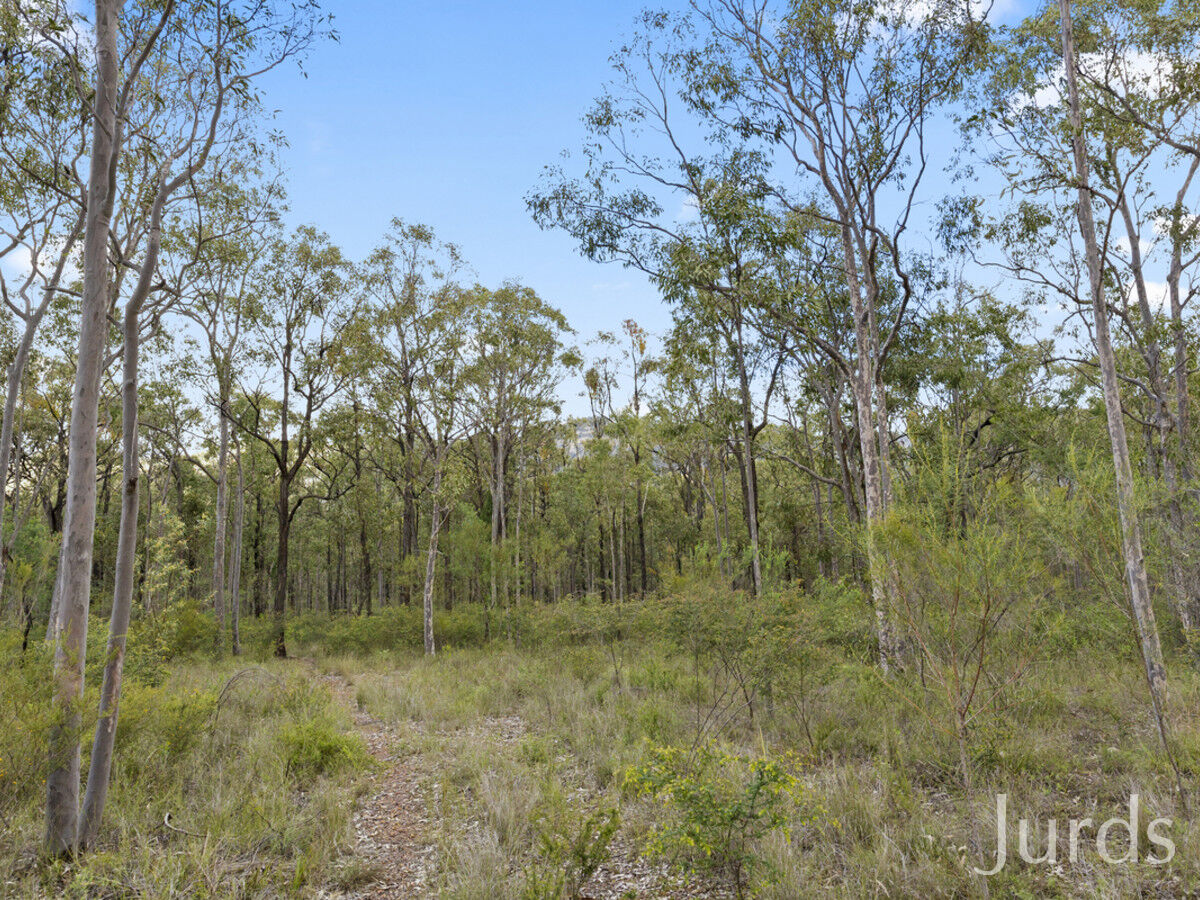 Lot 79 Broke Road, Pokolbin, Pokolbin - Thumbnail 6