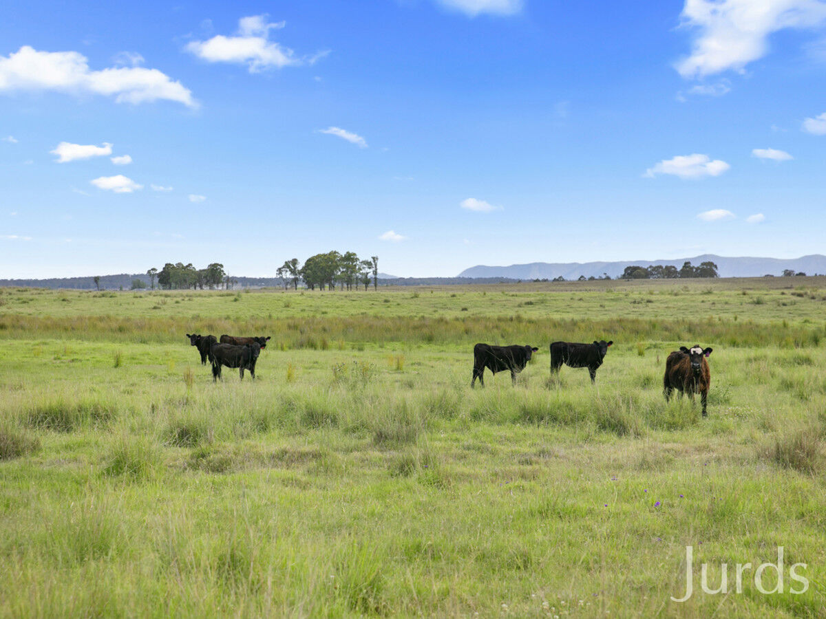 181A Roughit Lane, Sedgefield, Sedgefield - Thumbnail 4