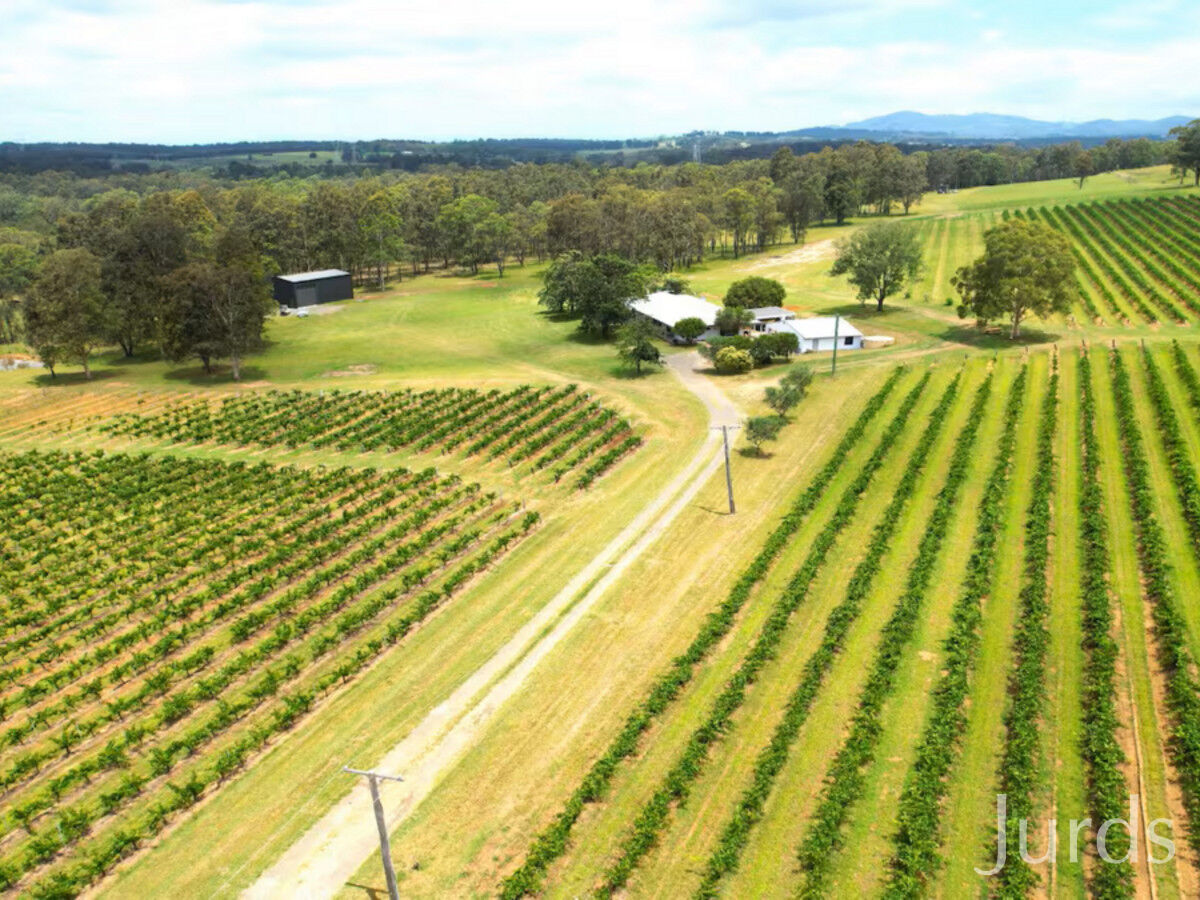 266 Deasys Road, Pokolbin, Pokolbin - Thumbnail 3
