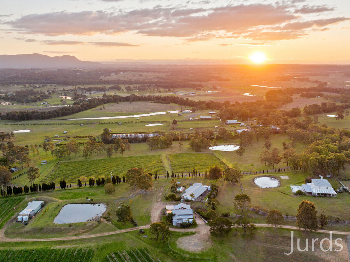 247 Wilderness Road, Lovedale, Lovedale - Thumbnail 2