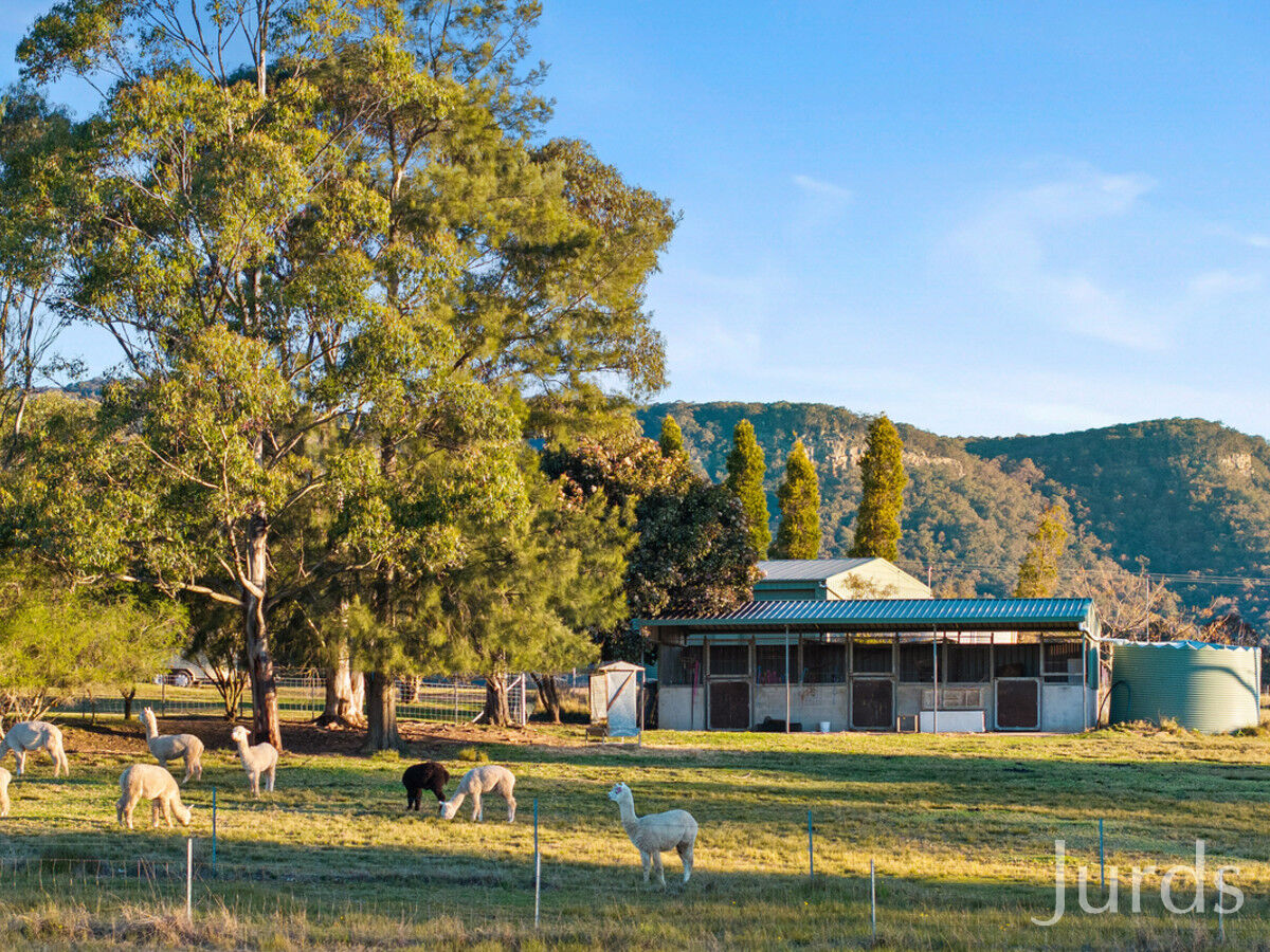 295 Swans Lane, Quorrobolong, Quorrobolong - Thumbnail 8