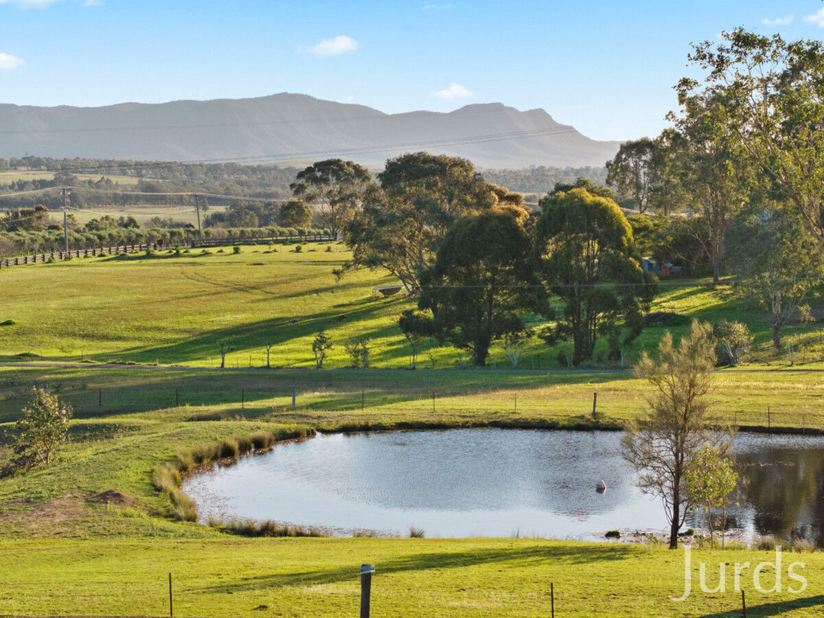 310 Talga Road, Lovedale, Lovedale - Thumbnail 8