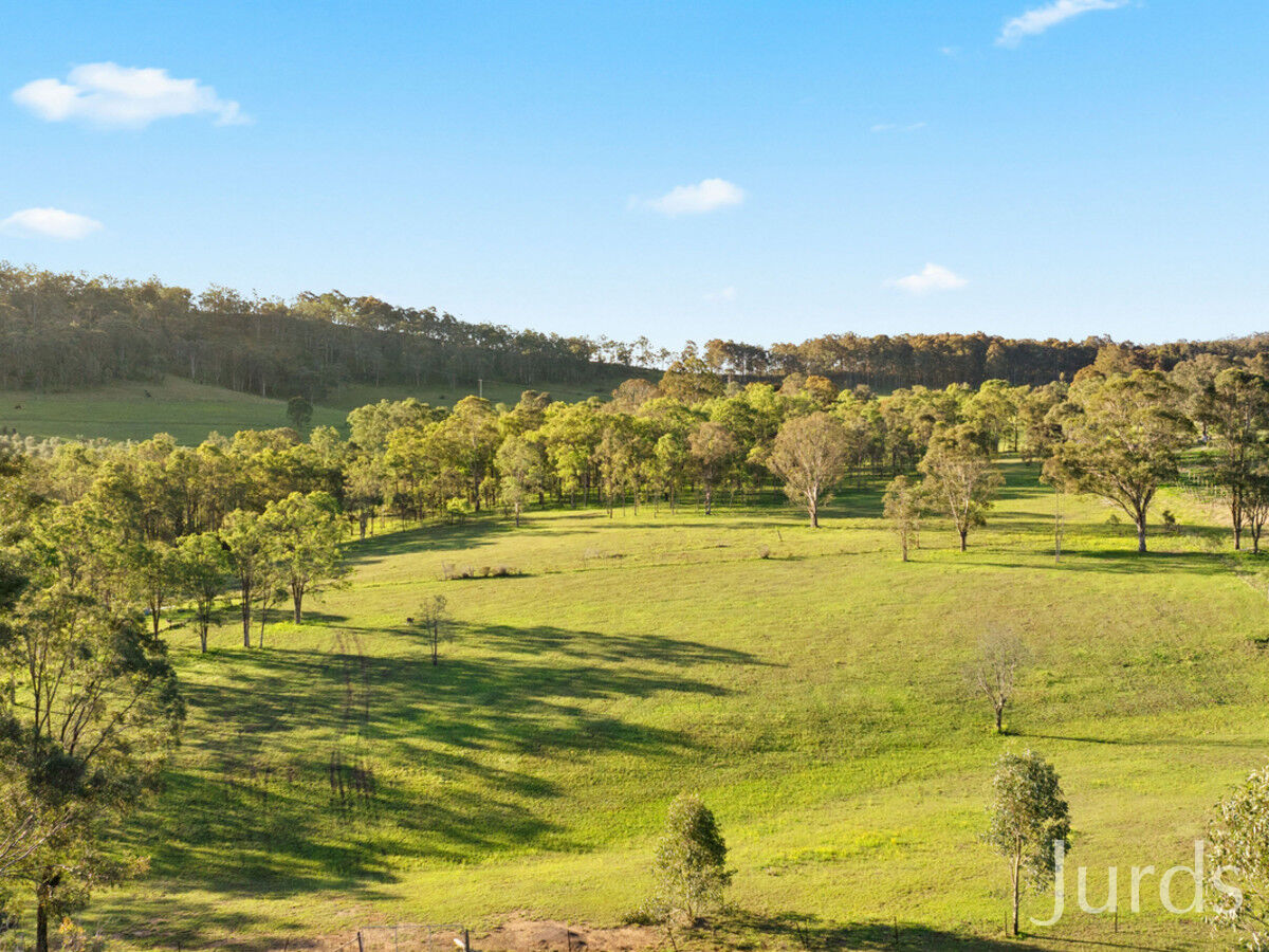 310 Talga Road, Lovedale, Lovedale - Thumbnail 5