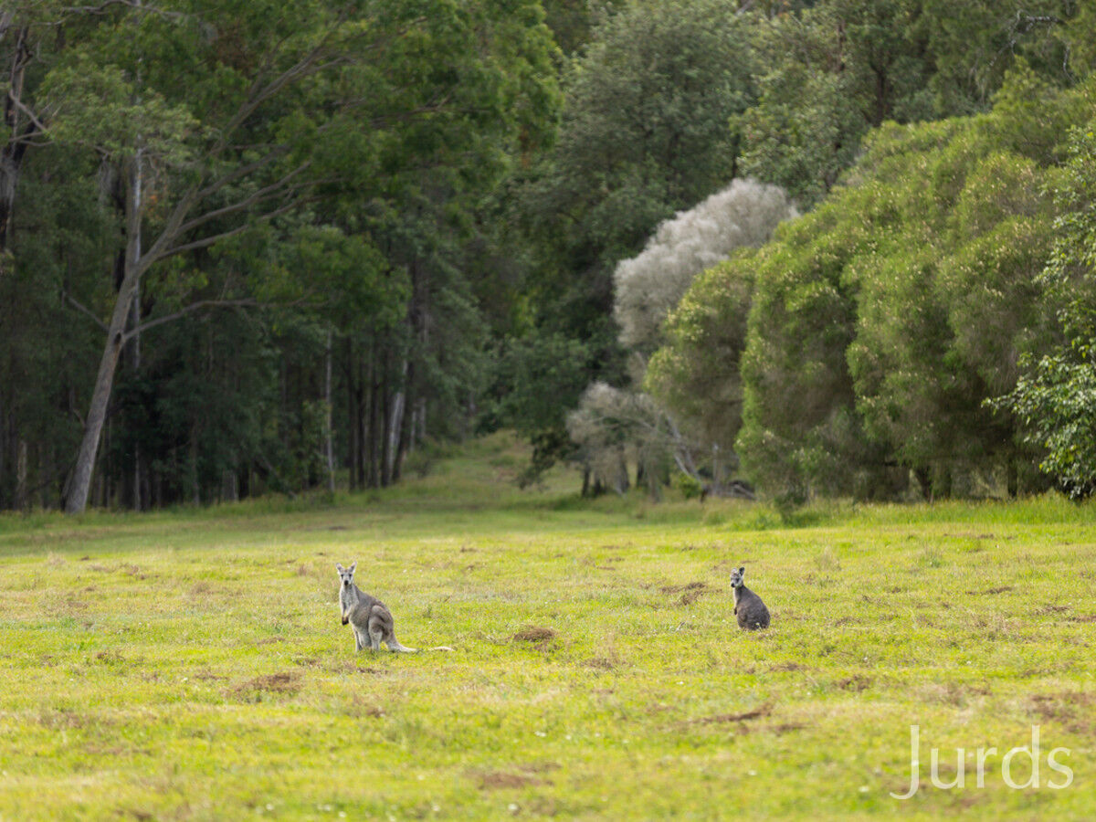 370 Lake Road, Elrington, Elrington - Thumbnail 2