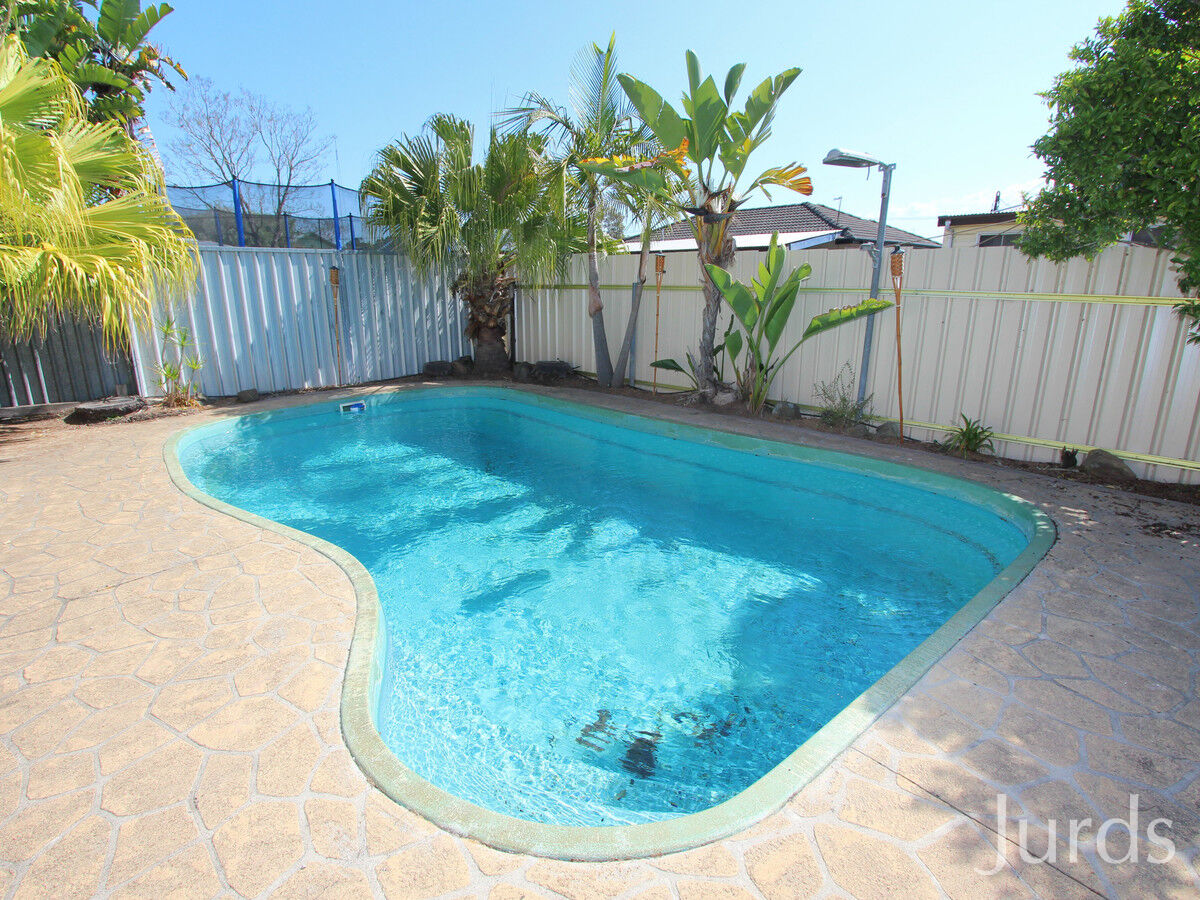 3 Carroll Avenue, Cessnock, Cessnock - Thumbnail 5