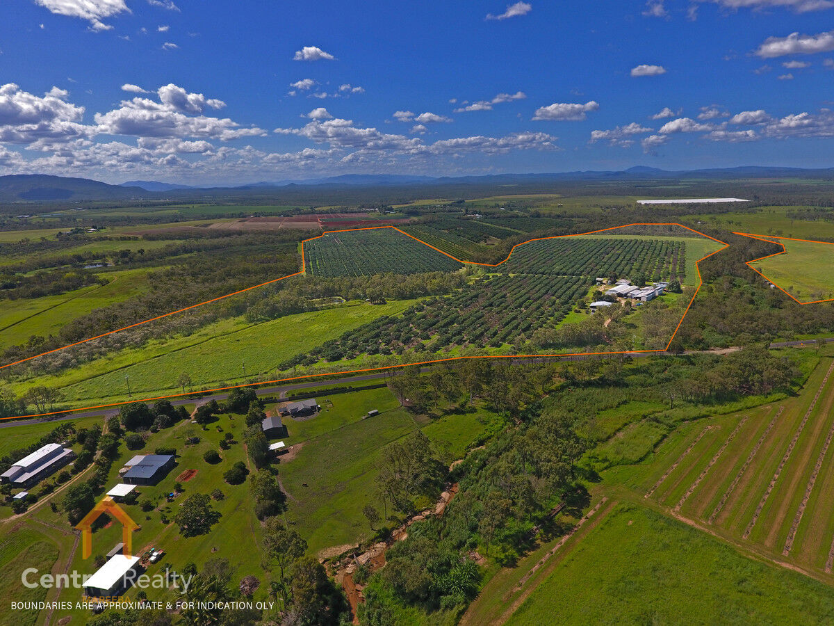 44 Carman Road, Mareeba, Mareeba - Image 1