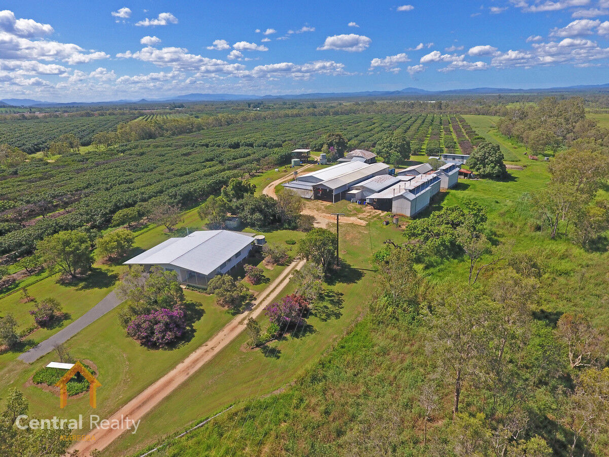 44 Carman Road, Mareeba, Mareeba - Thumbnail 2