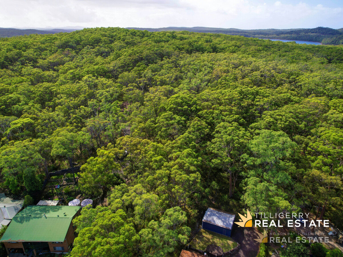 Lot 1 Waratah Drive, North Arm Cove NSW 2324, North Arm Cove - Thumbnail 5