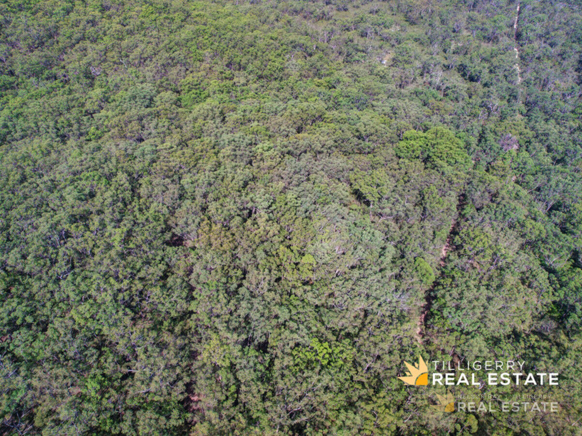 Lot 365 Deepwater Road, North Arm Cove NSW 2324, North Arm Cove - Thumbnail 2