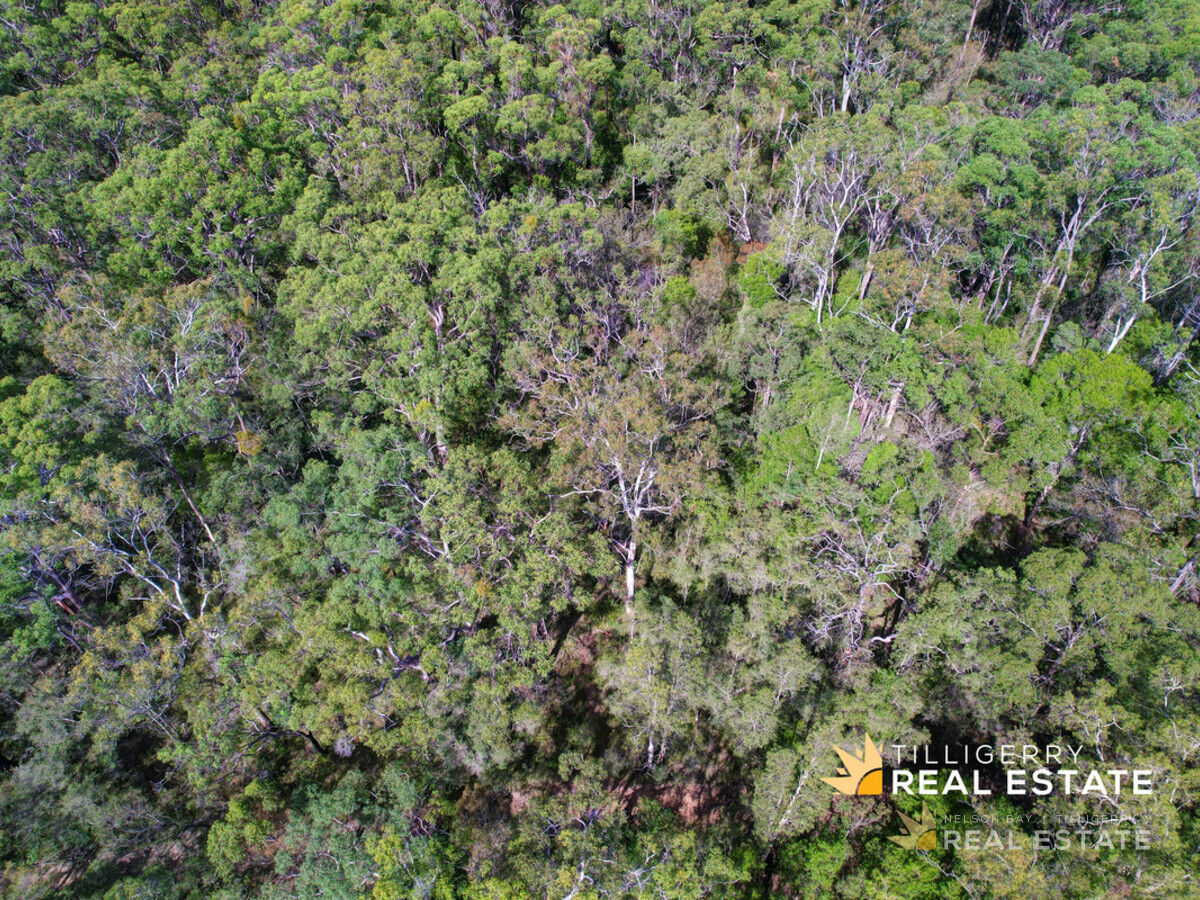 Lot 903 Hamilton Street, North Arm Cove NSW 2324, North Arm Cove - Thumbnail 4
