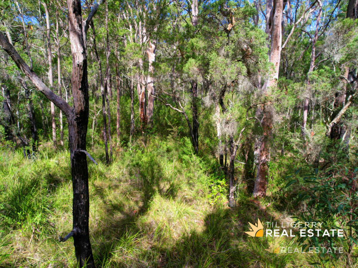 Lot 903 Hamilton Street, North Arm Cove NSW 2324, North Arm Cove - Thumbnail 3