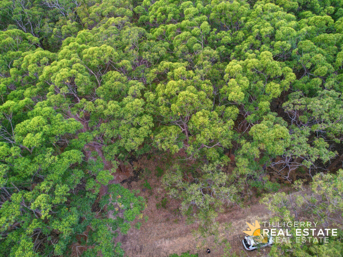 48 Oversea Way, North Arm Cove NSW 2324, North Arm Cove - Thumbnail 3