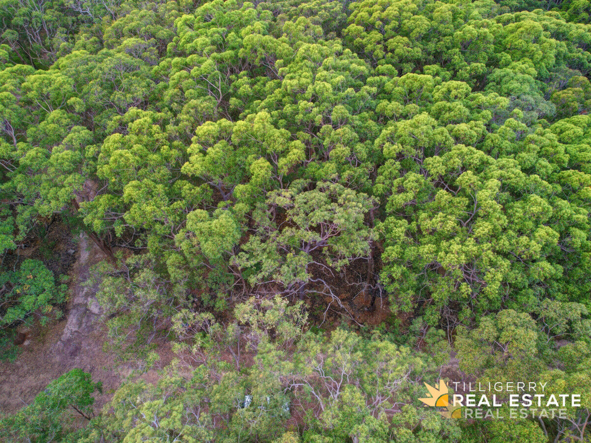 48 Oversea Way, North Arm Cove NSW 2324, North Arm Cove - Thumbnail 5