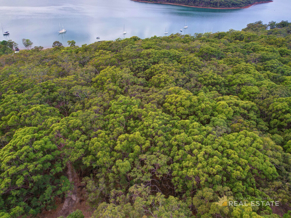48 Oversea Way, North Arm Cove NSW 2324, North Arm Cove - Thumbnail 6