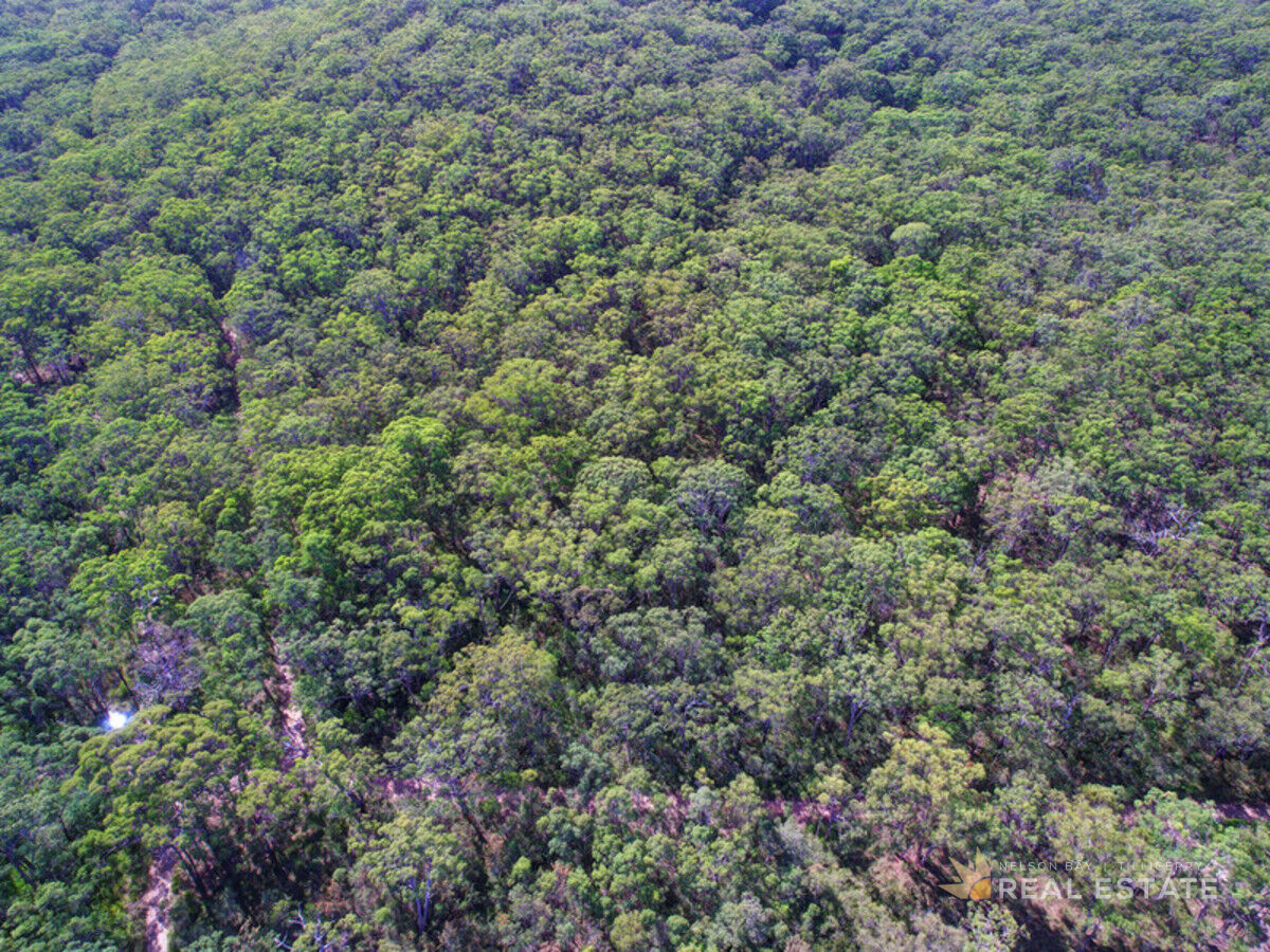 Lot 2032 Coonamble Crescent, North Arm Cove NSW 2324, North Arm Cove - Thumbnail 2