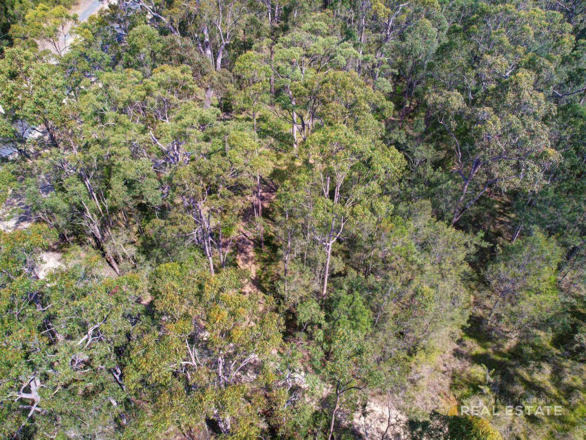 Lot 149 Scone Street, North Arm Cove NSW 2324, North Arm Cove - Thumbnail 6