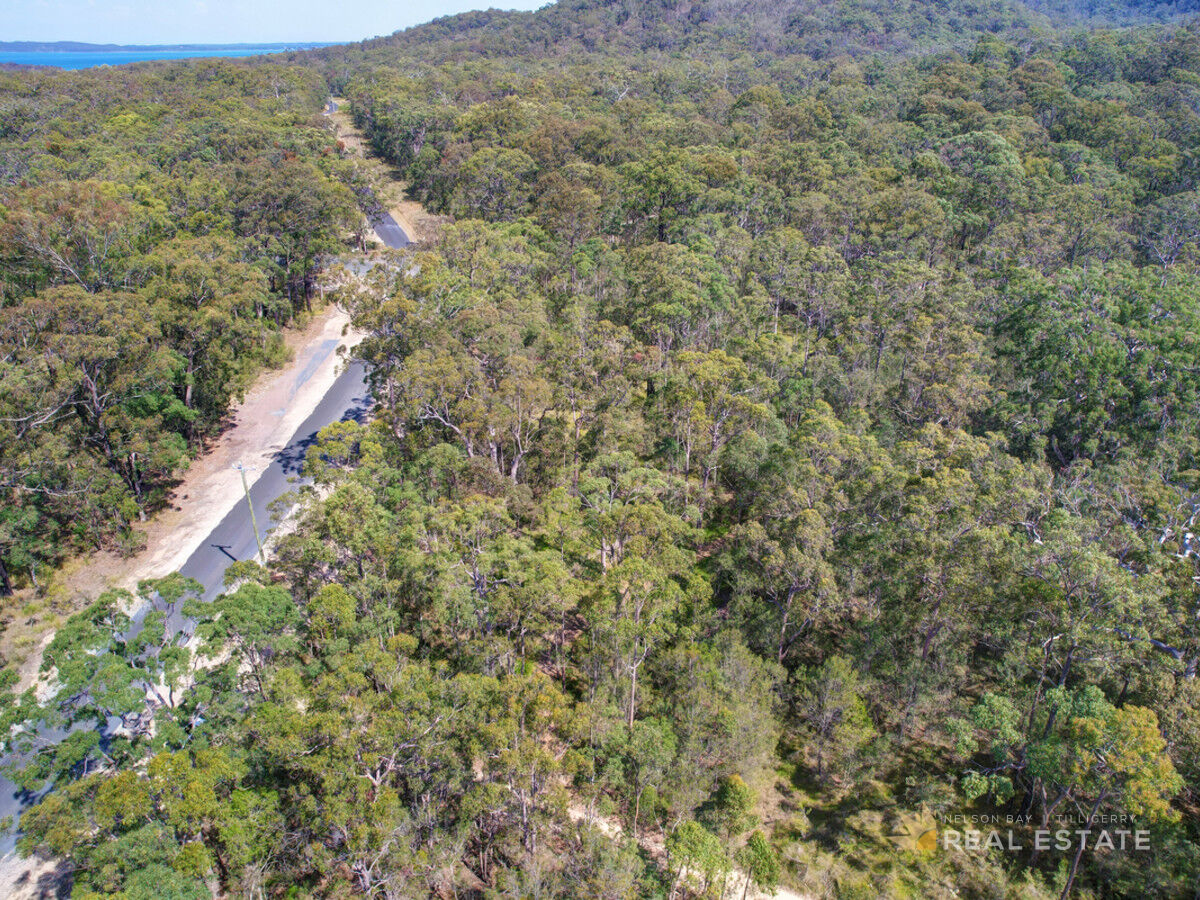 Lot 149 Scone Street, North Arm Cove NSW 2324, North Arm Cove - Thumbnail 7