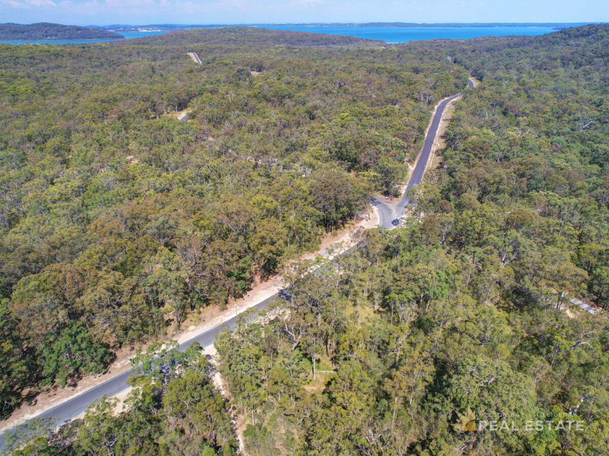 Lot 149 Scone Street, North Arm Cove NSW 2324, North Arm Cove - Thumbnail 4