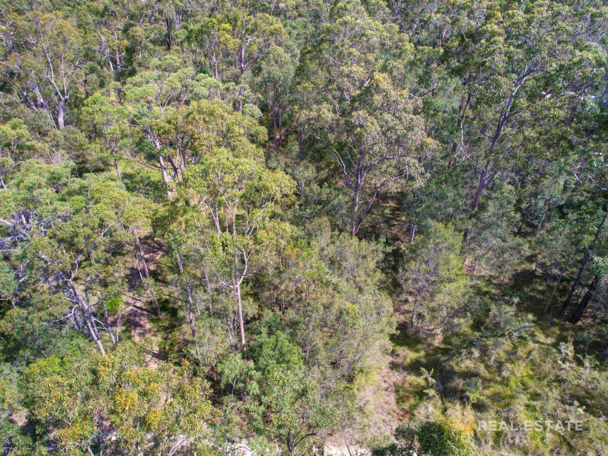 Lot 149 Scone Street, North Arm Cove NSW 2324, North Arm Cove - Thumbnail 2
