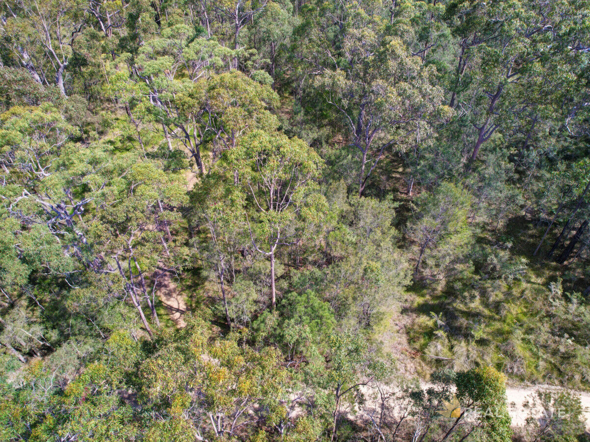 Lot 149 Scone Street, North Arm Cove NSW 2324, North Arm Cove - Thumbnail 5