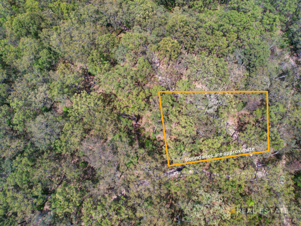 Lot 105 & 106 King Street, Carrington NSW 2324, Carrington - Thumbnail 6