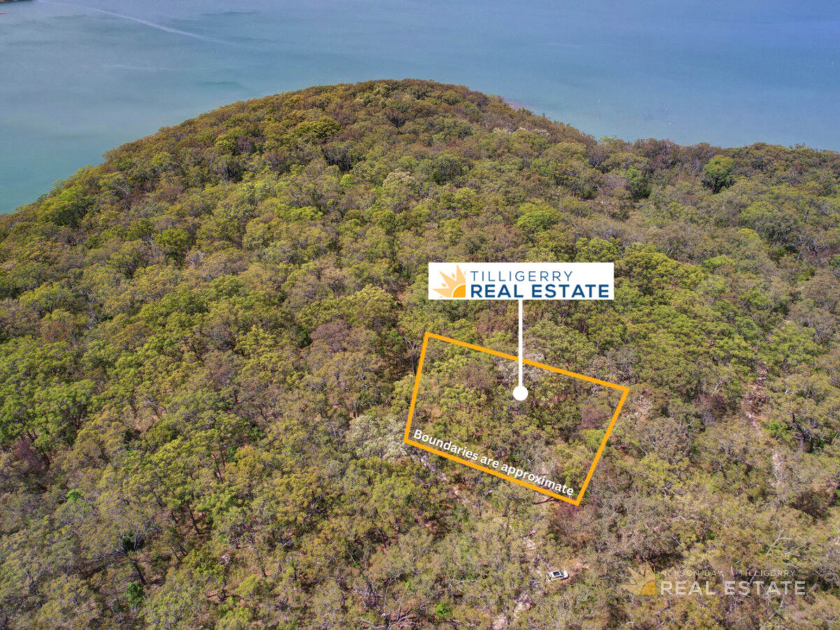 Lot 105 & 106 King Street, Carrington NSW 2324, Carrington - Thumbnail 7