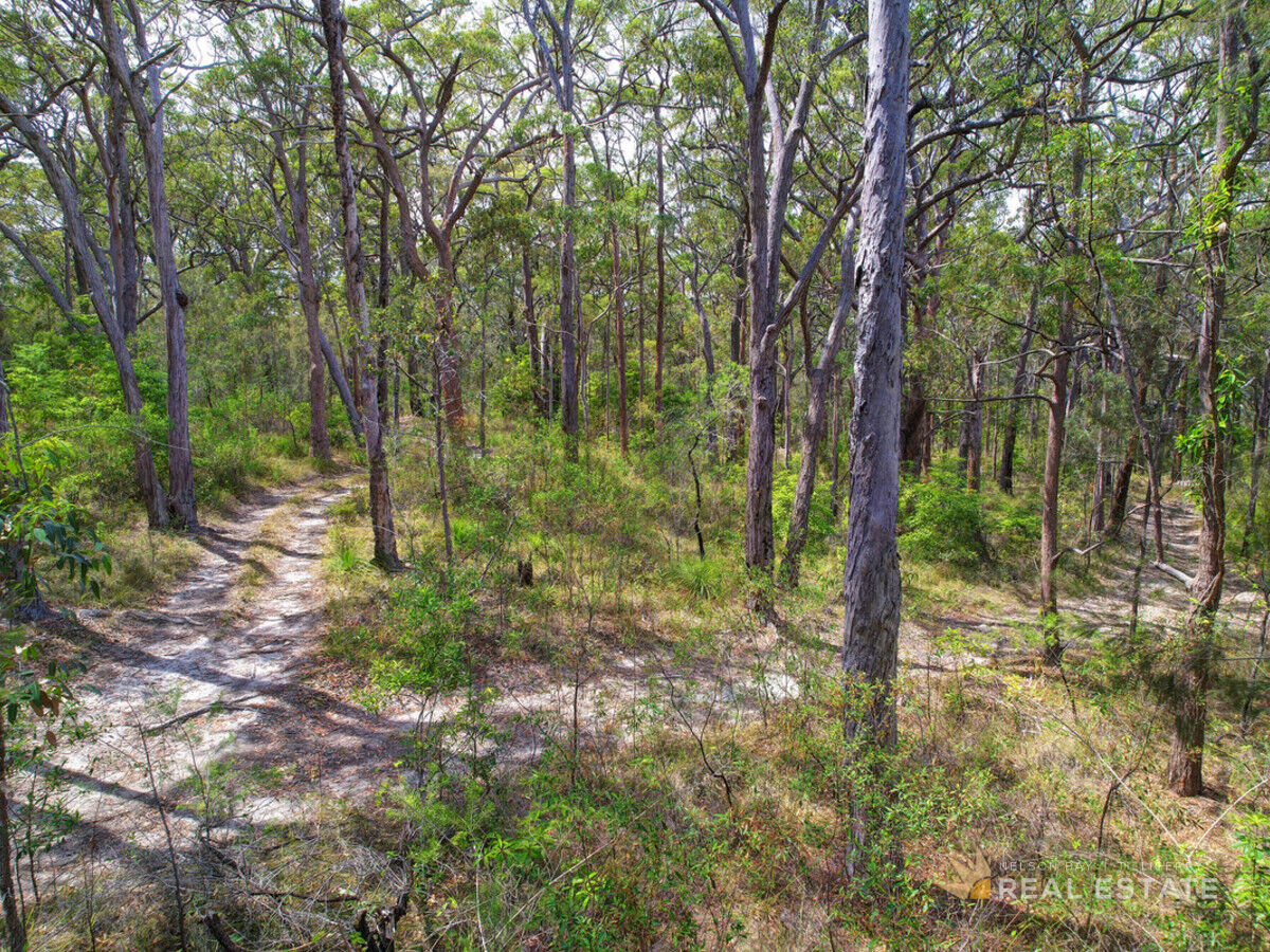 Lot 105 & 106 King Street, Carrington NSW 2324, Carrington - Thumbnail 8