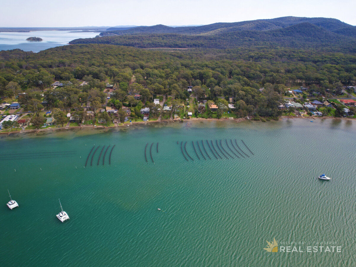 Lot 153 & 154 The Ridgeway, North Arm Cove NSW 2324, North Arm Cove - Thumbnail 6