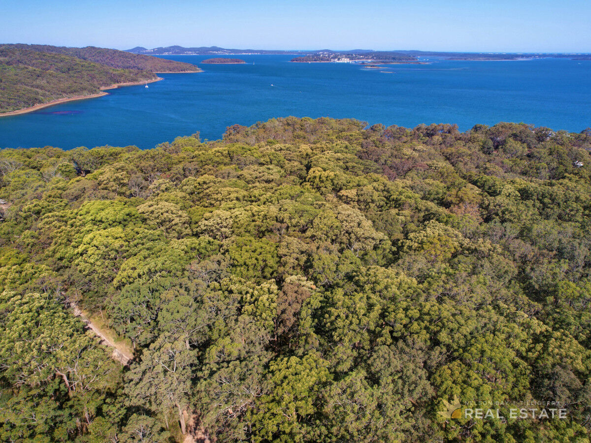 Lot 76 Oversea Way, North Arm Cove NSW 2324, North Arm Cove - Thumbnail 7