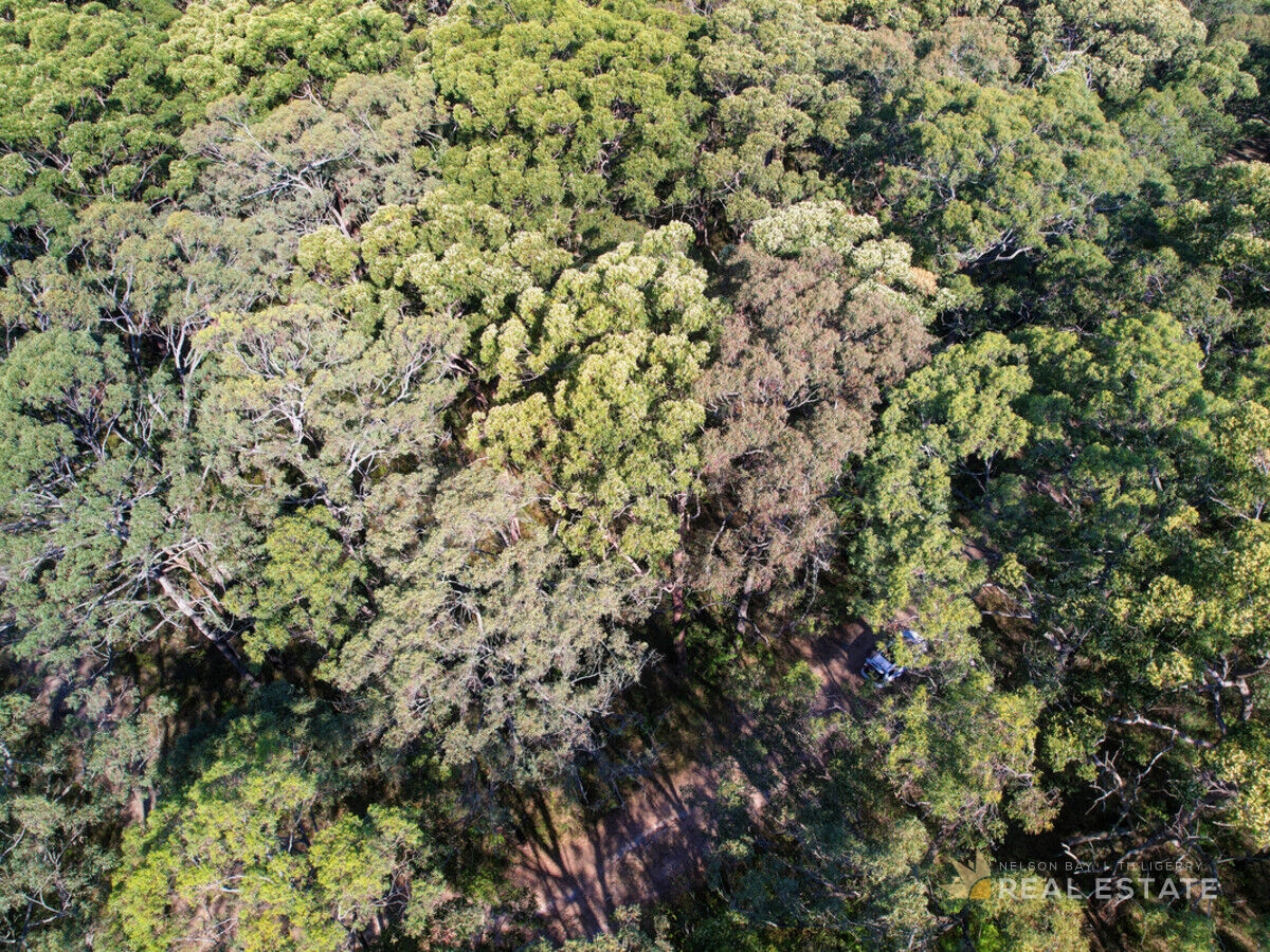 Lot 76 Oversea Way, North Arm Cove NSW 2324, North Arm Cove - Thumbnail 6