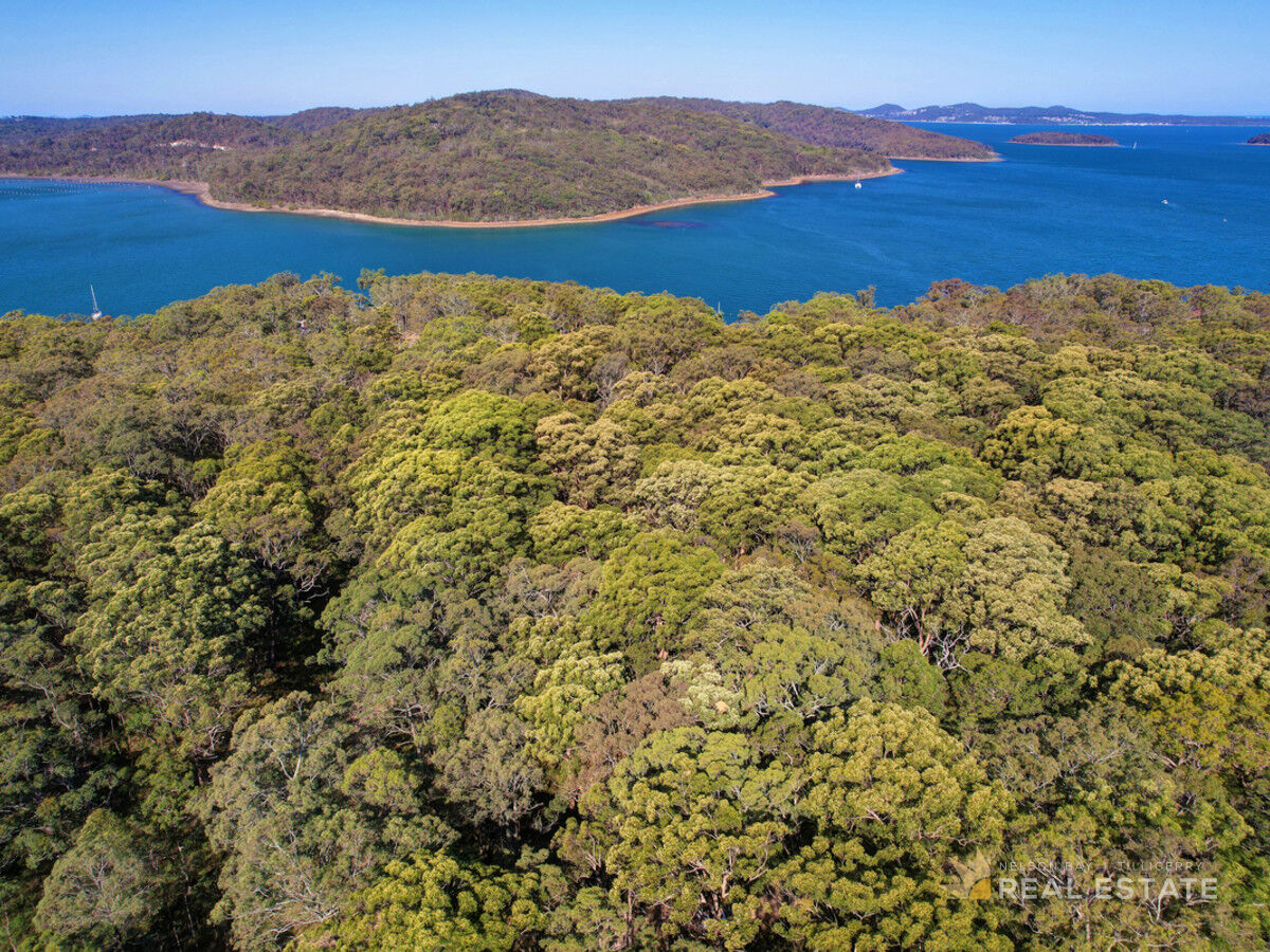 Lot 76 Oversea Way, North Arm Cove NSW 2324, North Arm Cove - Thumbnail 2