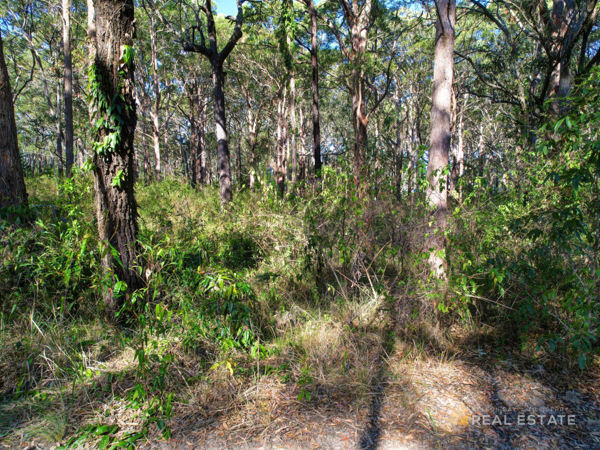 Lot 76 Oversea Way, North Arm Cove NSW 2324, North Arm Cove - Thumbnail 8