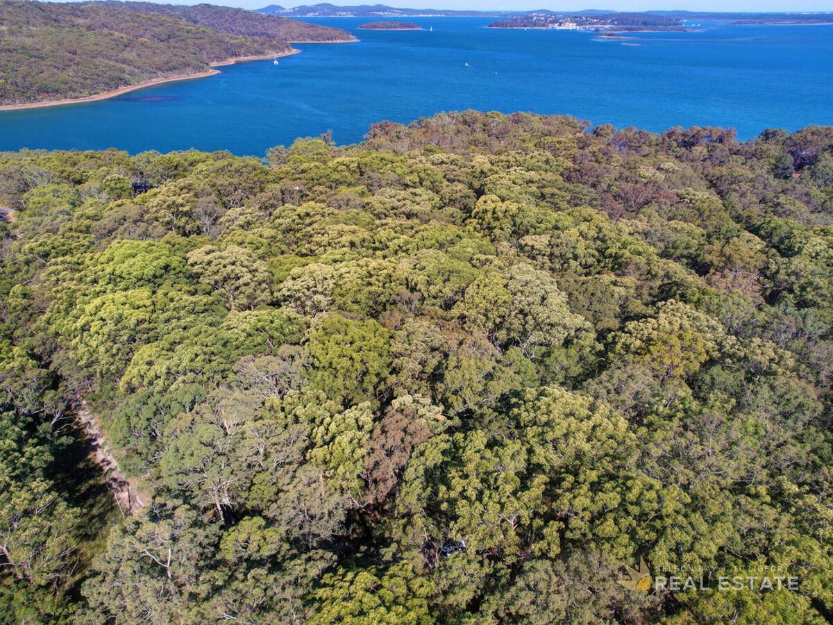 Lot 76 Oversea Way, North Arm Cove NSW 2324, North Arm Cove - Thumbnail 4