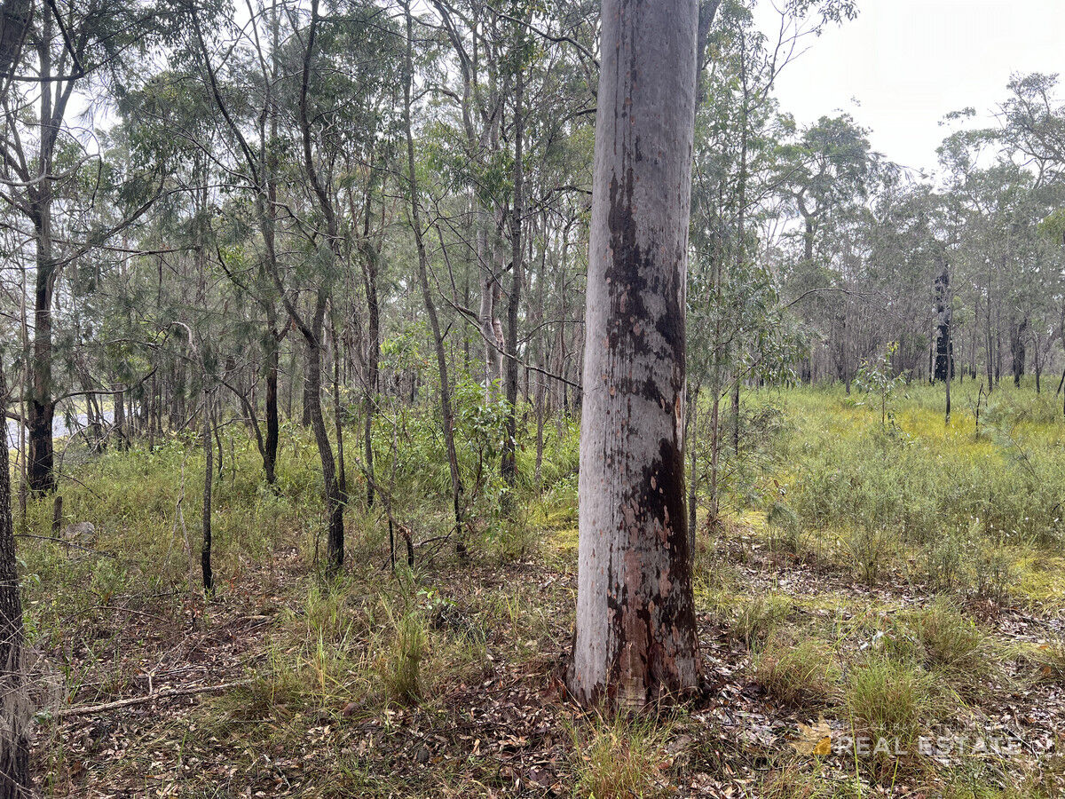 Lot 2873 Glencoe Street, North Arm Cove NSW 2324, North Arm Cove - Thumbnail 3